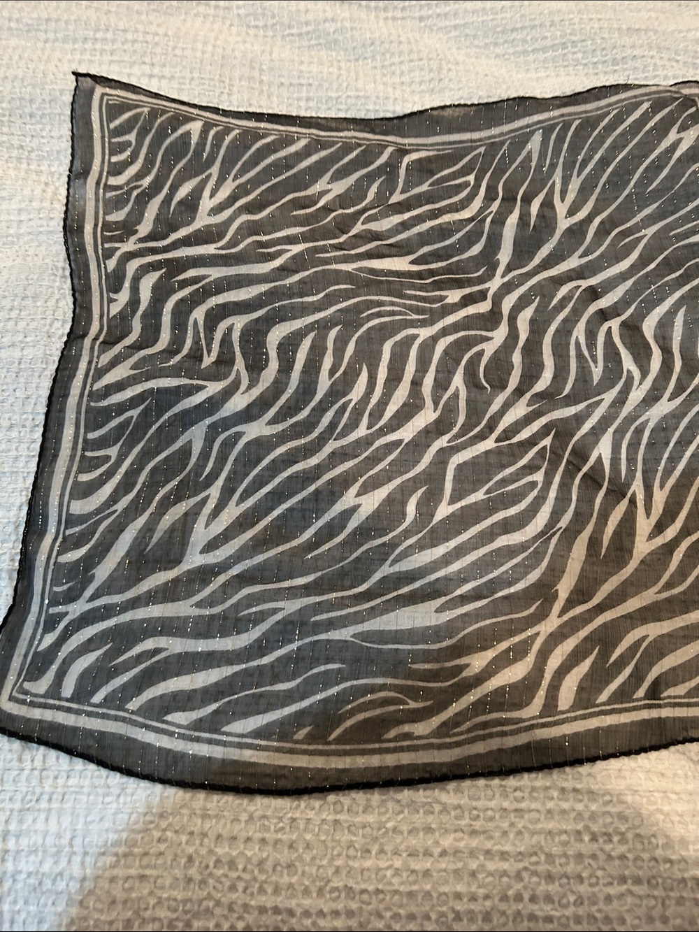 Sheer Zebra Print Scarf in Black and White Silk